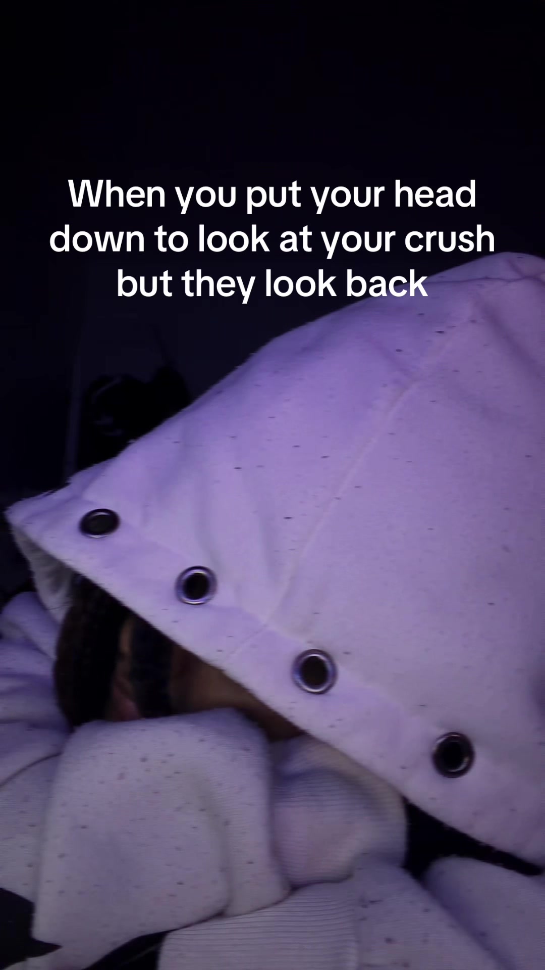 @Chocolate Dino nuggets