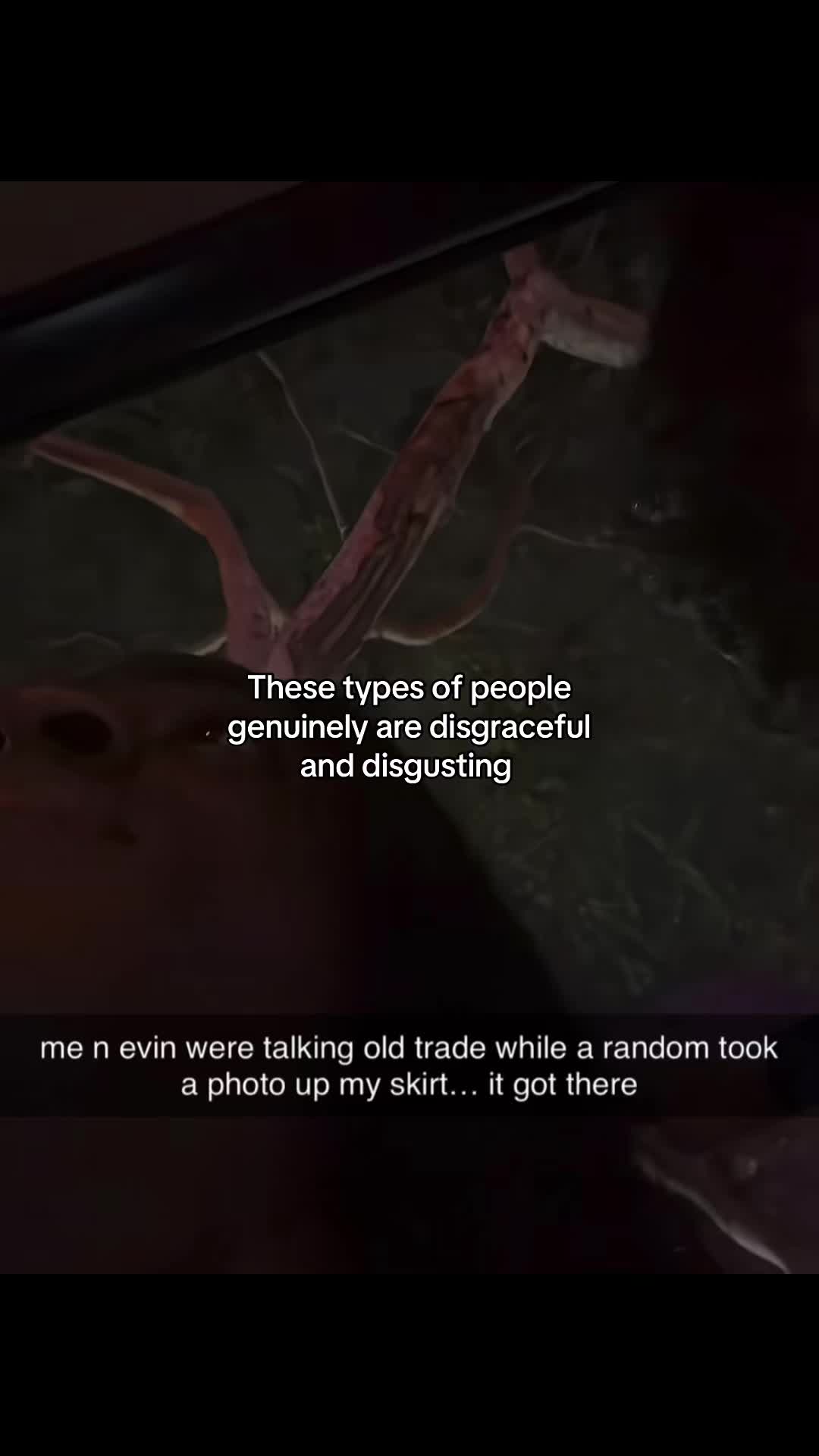 @steitiva