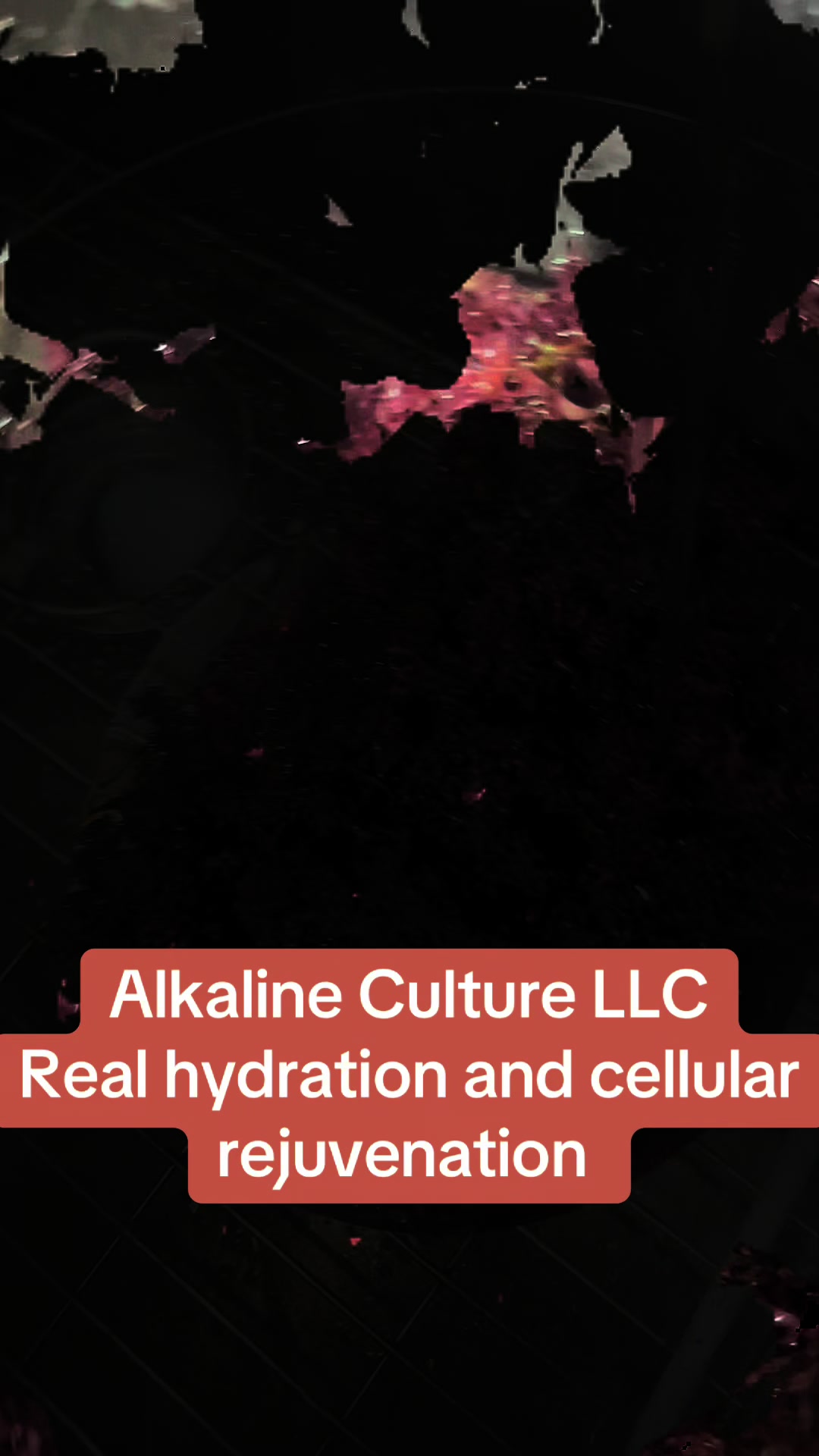 @Alkaline Coach V