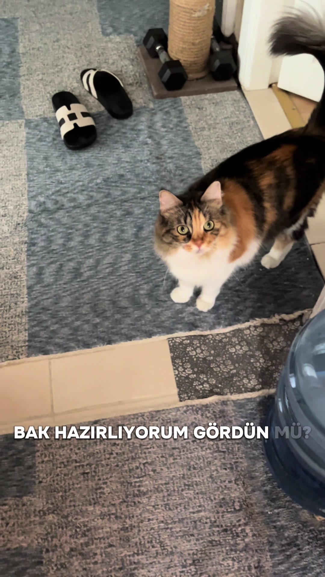 @konusankediminnos