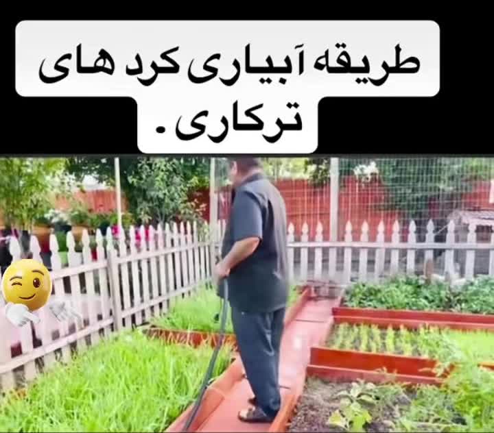 @Rahimi