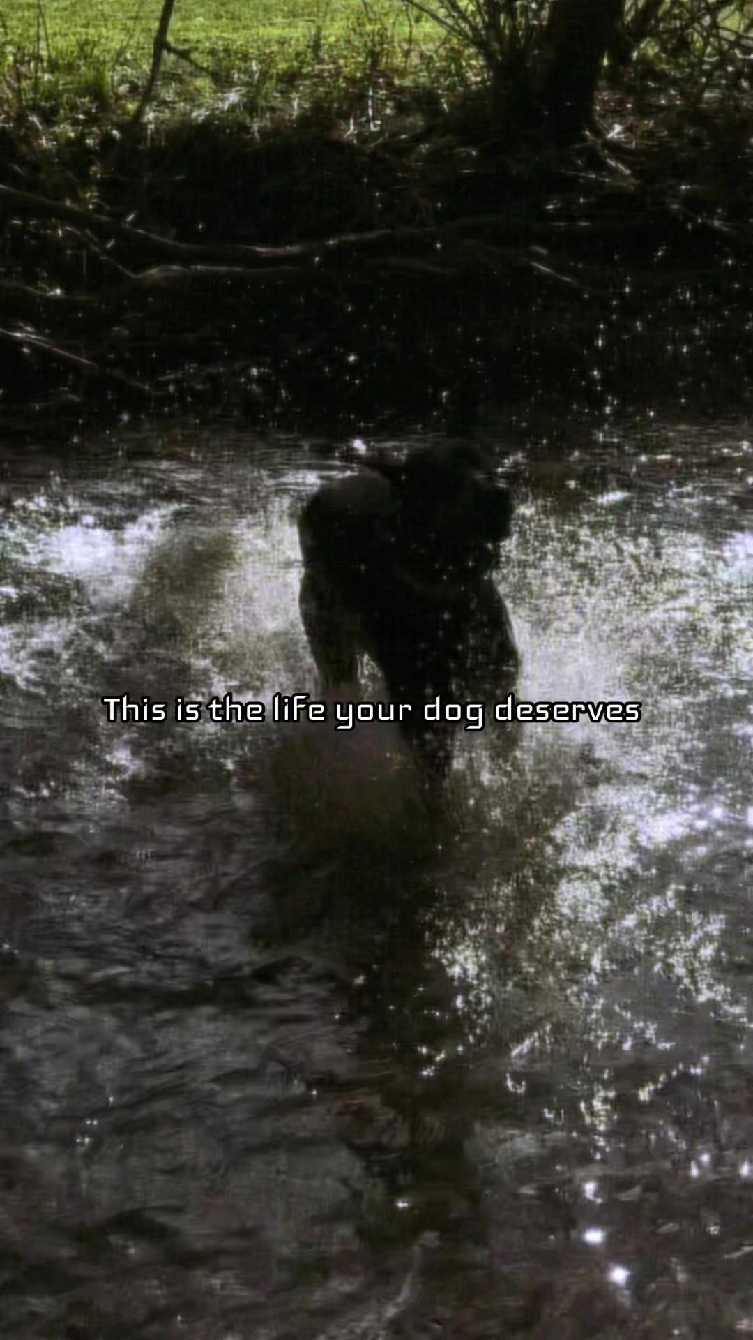 @Grimm & Rachel