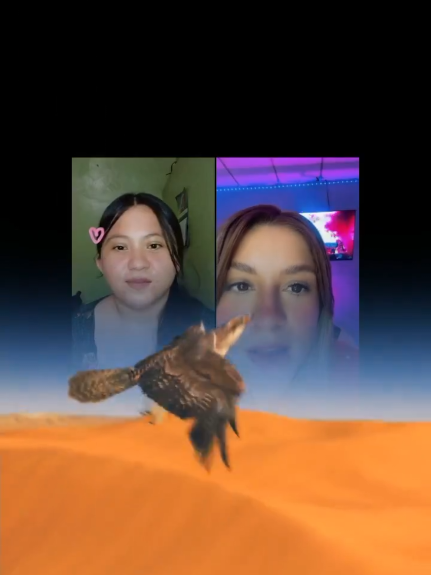 @Chinita y Leo 👑🦁⚔️