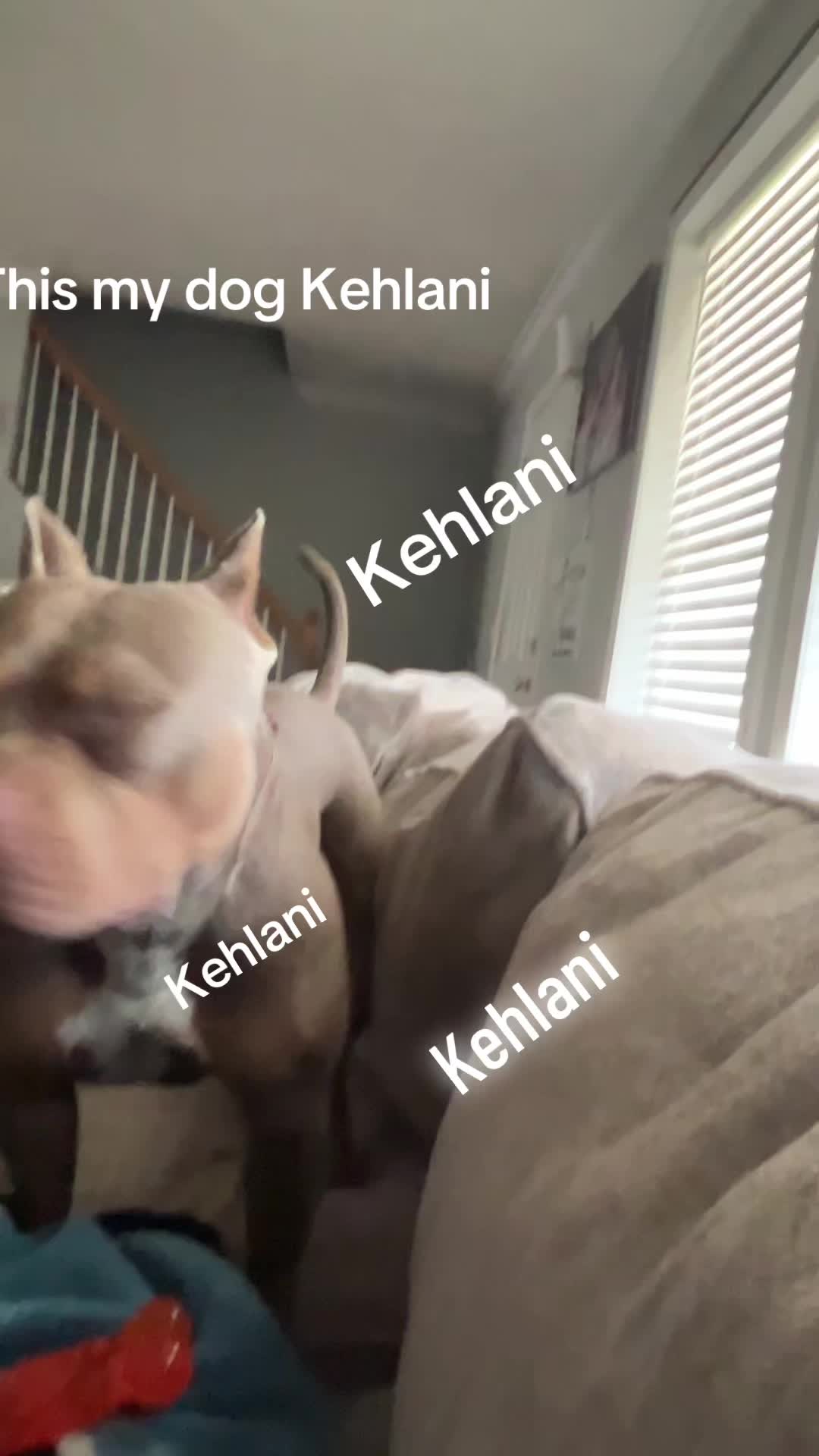 @Kj256
