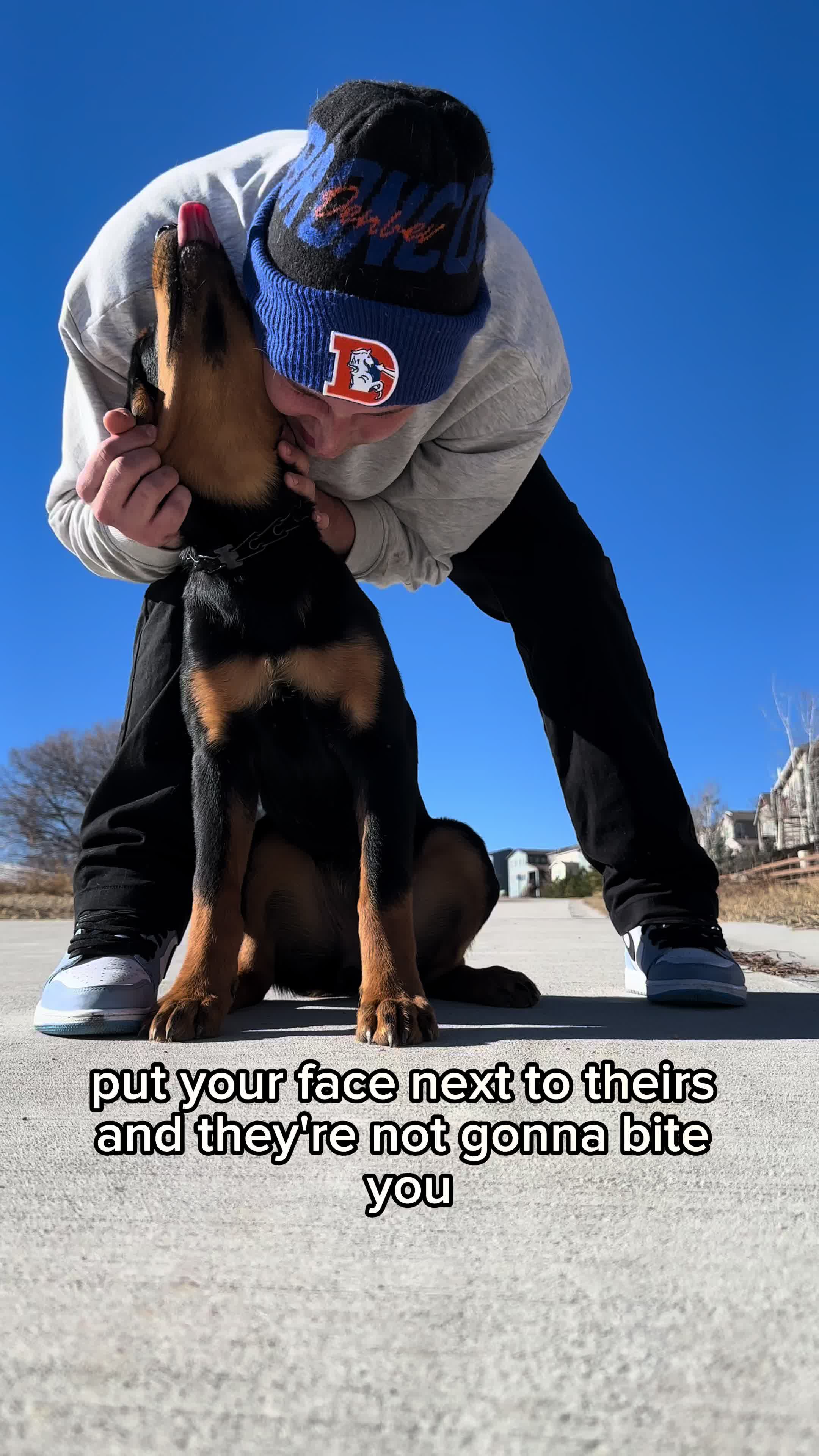 @tylerthek9trainer