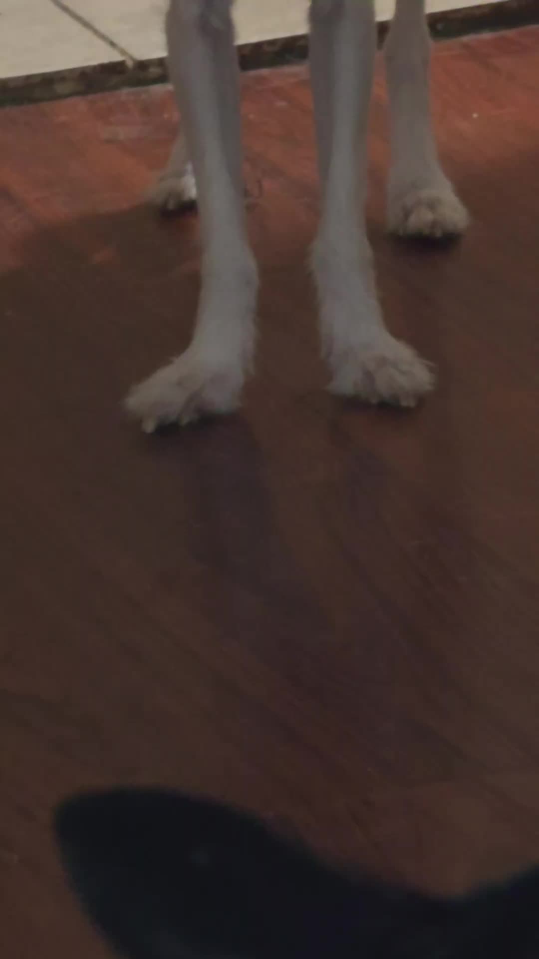 @Aki