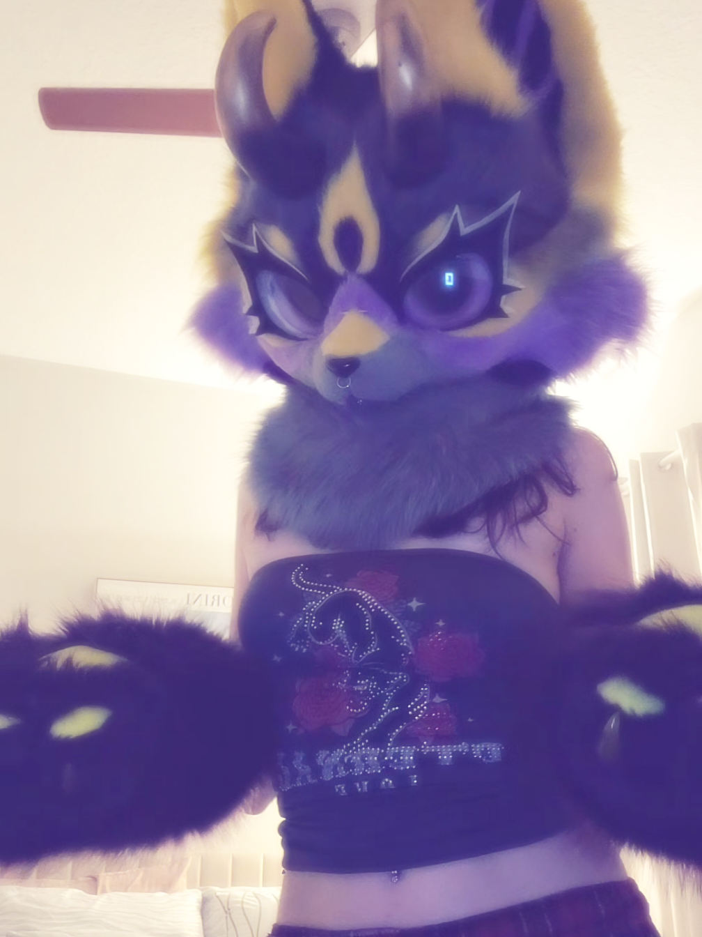 @˖°SmittenKitten⋆˚