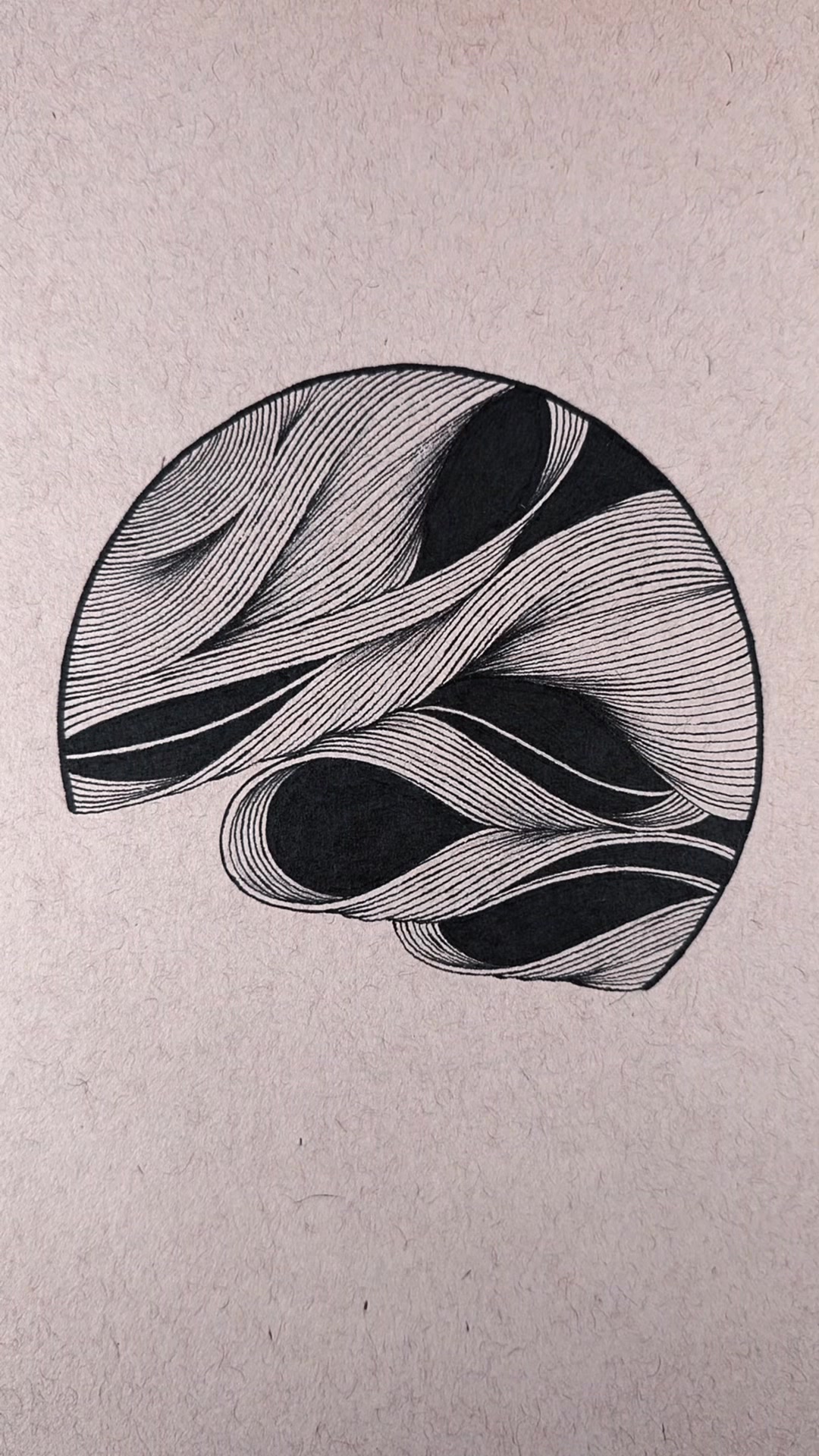 @Angel Draws