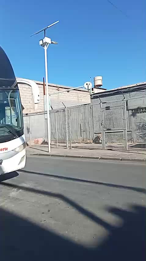 @Busolog&iacute;a renato 😎