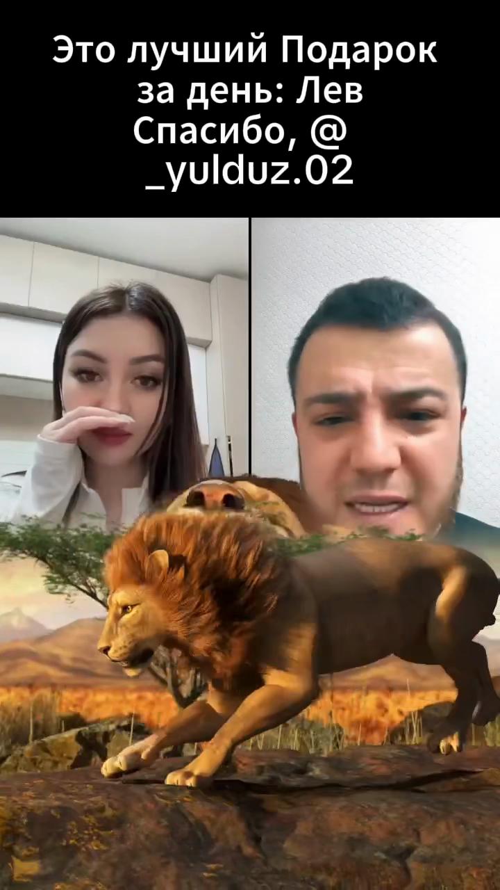 @Uzbechonok