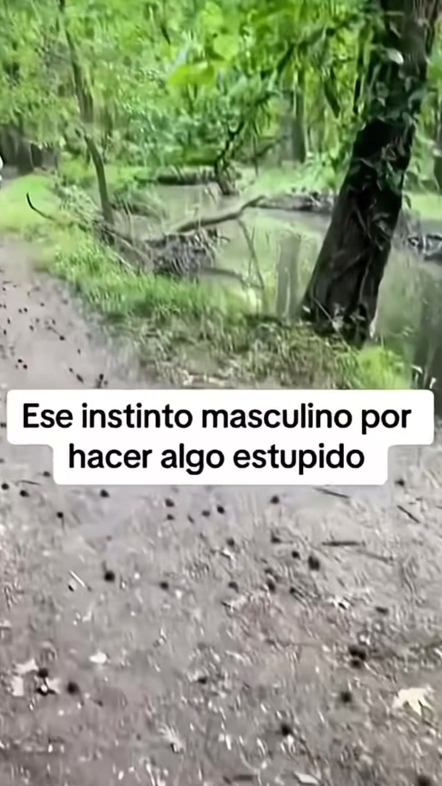 @nery cruz