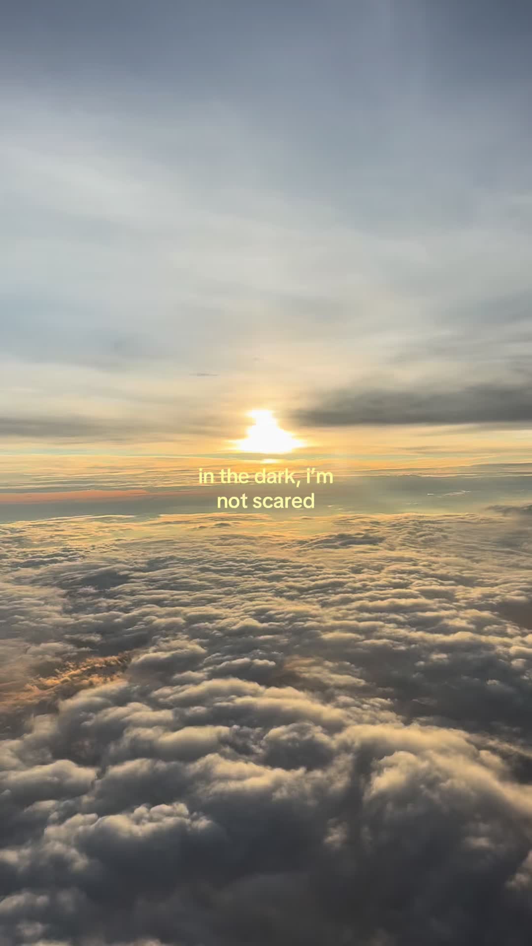 @madeline ౨ৎ