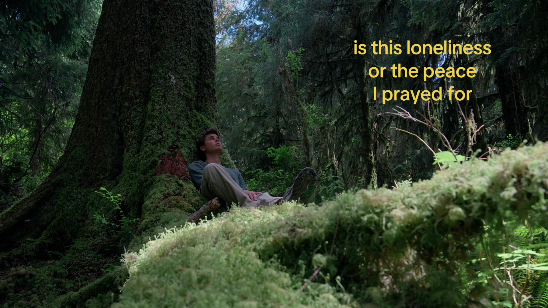 @heyden hansen