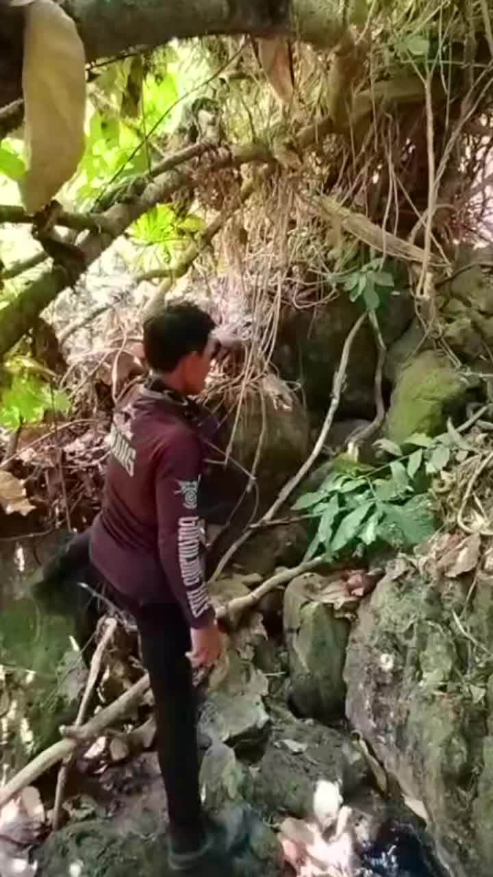 @awangawang53
