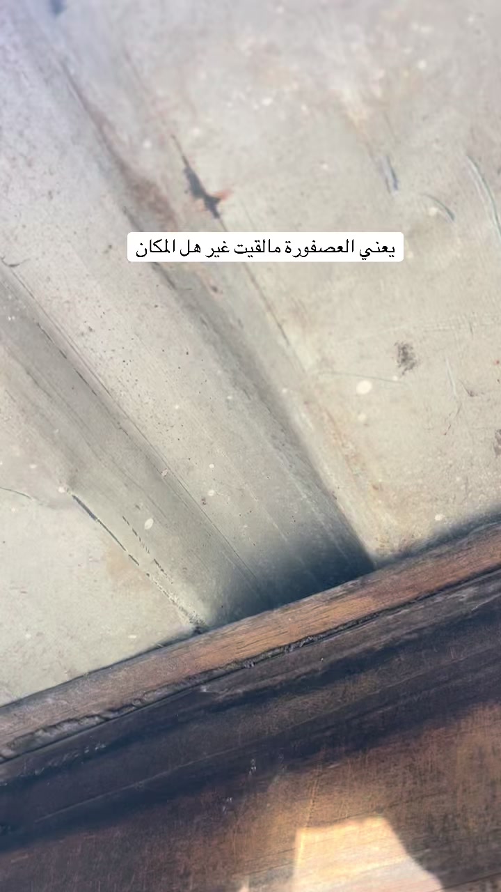 @ashkaltbiah