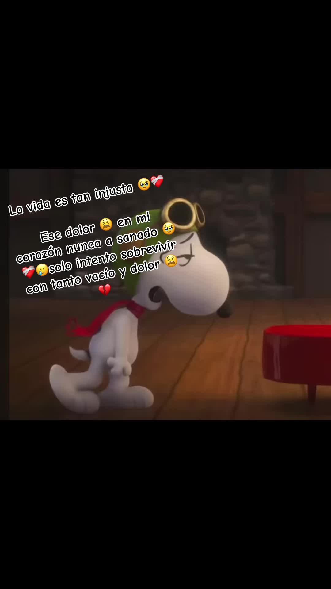 @🫀_02Jass_20❤️🩹