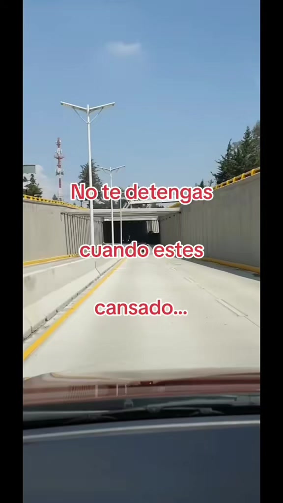 @Gerardo McQueen