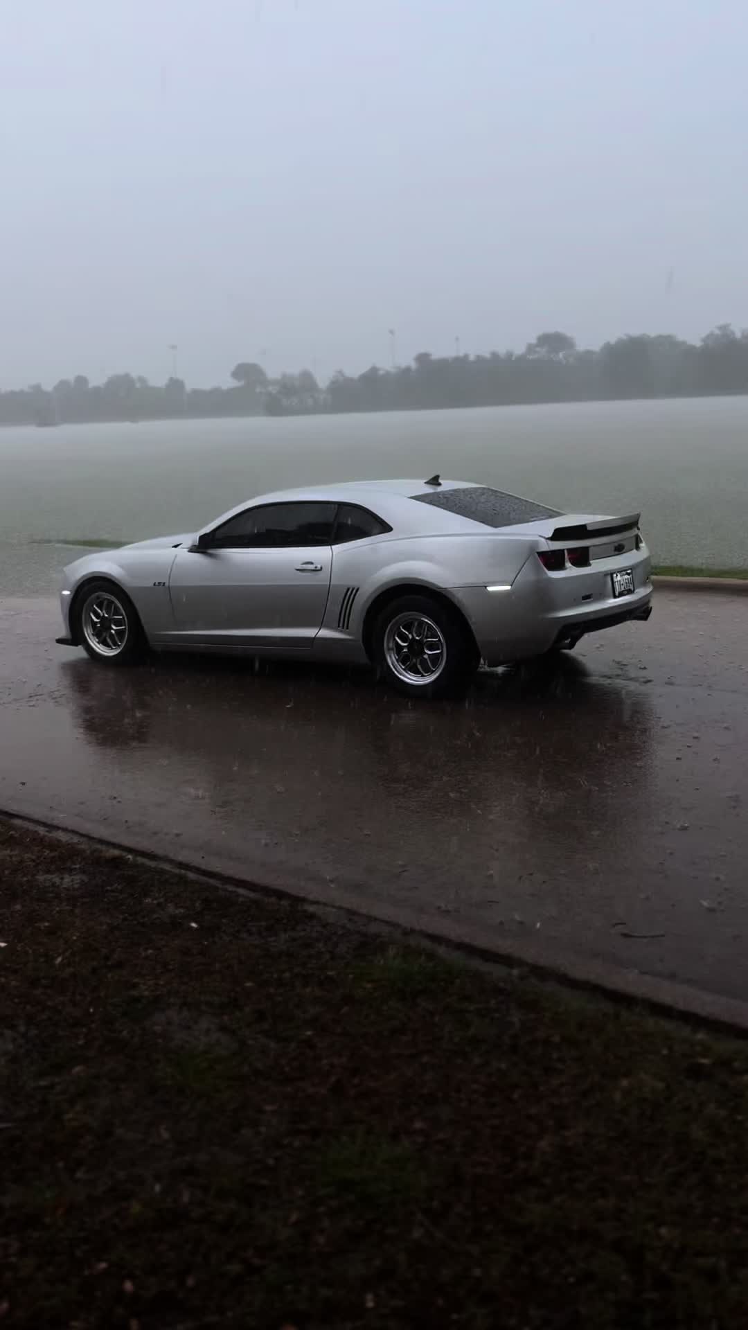 @zmxjesusl