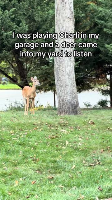 @espeon_360