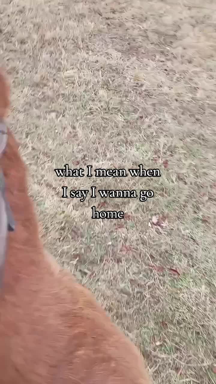@𓃾🂱ʊ𝐄𝐙𝐑𝐀ʊ🂱𓃾