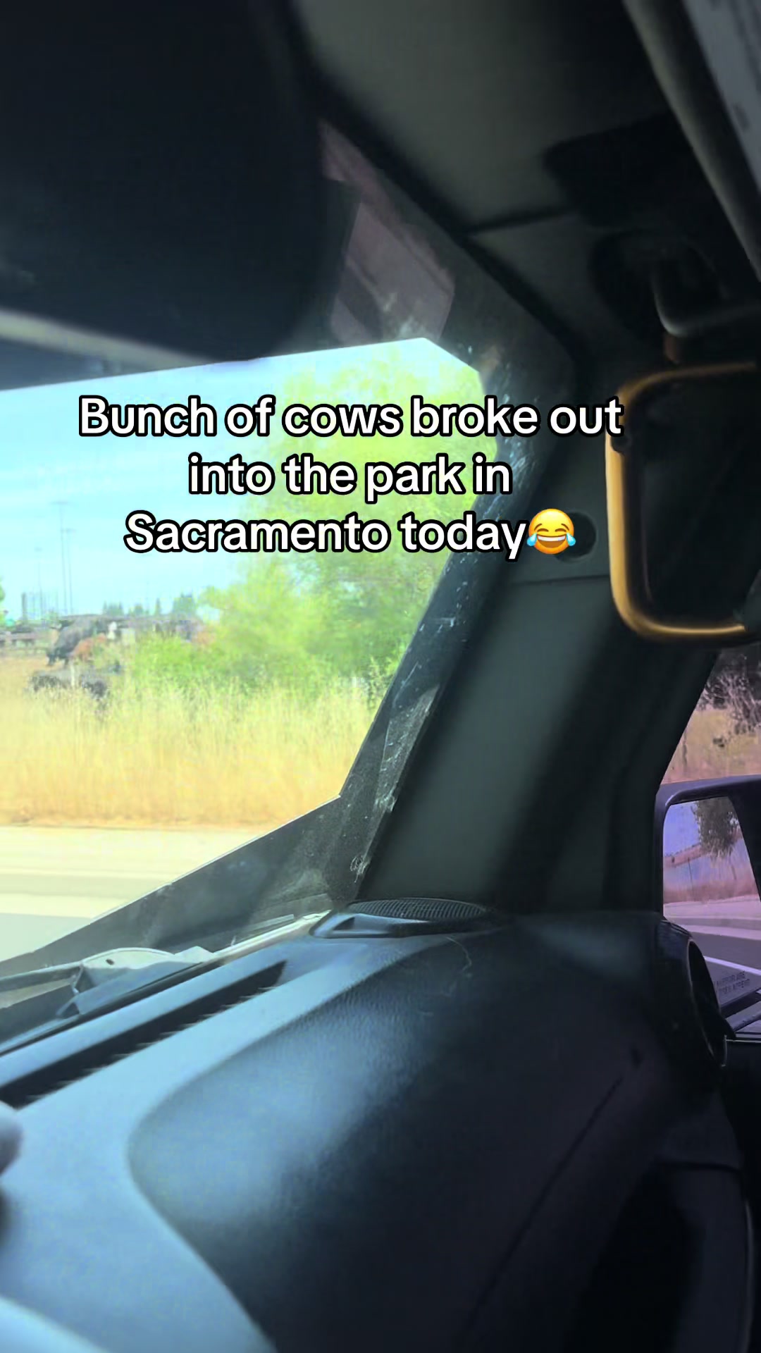 @budlightninggg