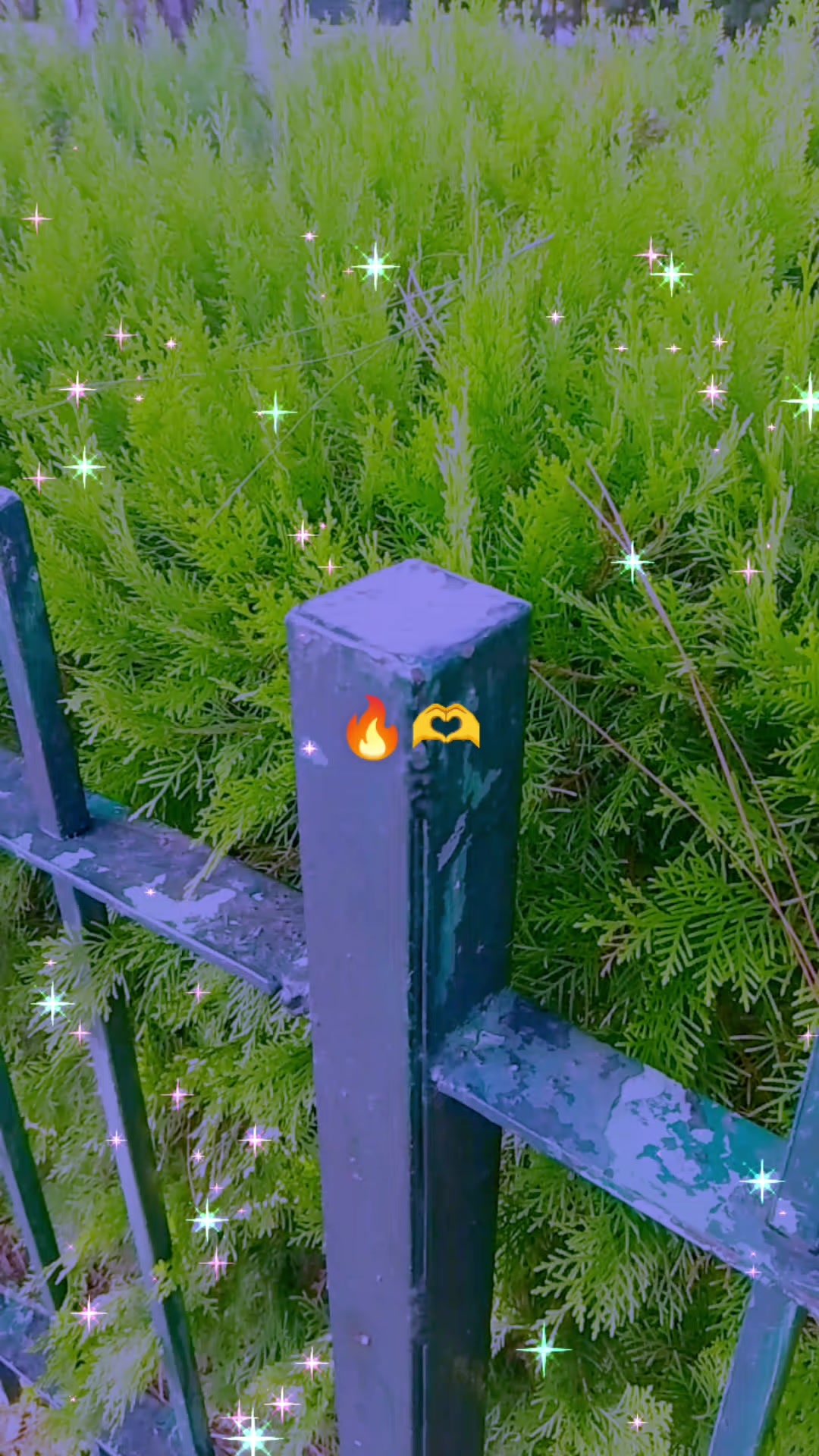 @𝓜𝔂𝓼𝓽𝓮𝓻𝓲𝓸𝓾𝓼 𝓰𝓲𝓻𝓵,