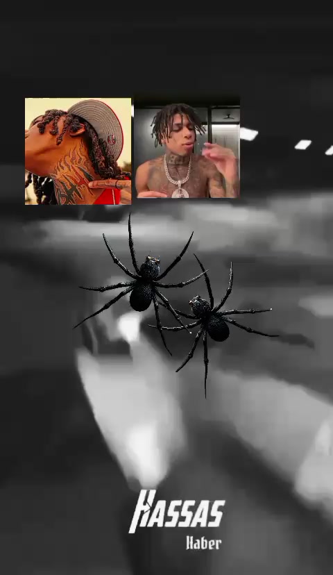 @Lil Jamie v.2