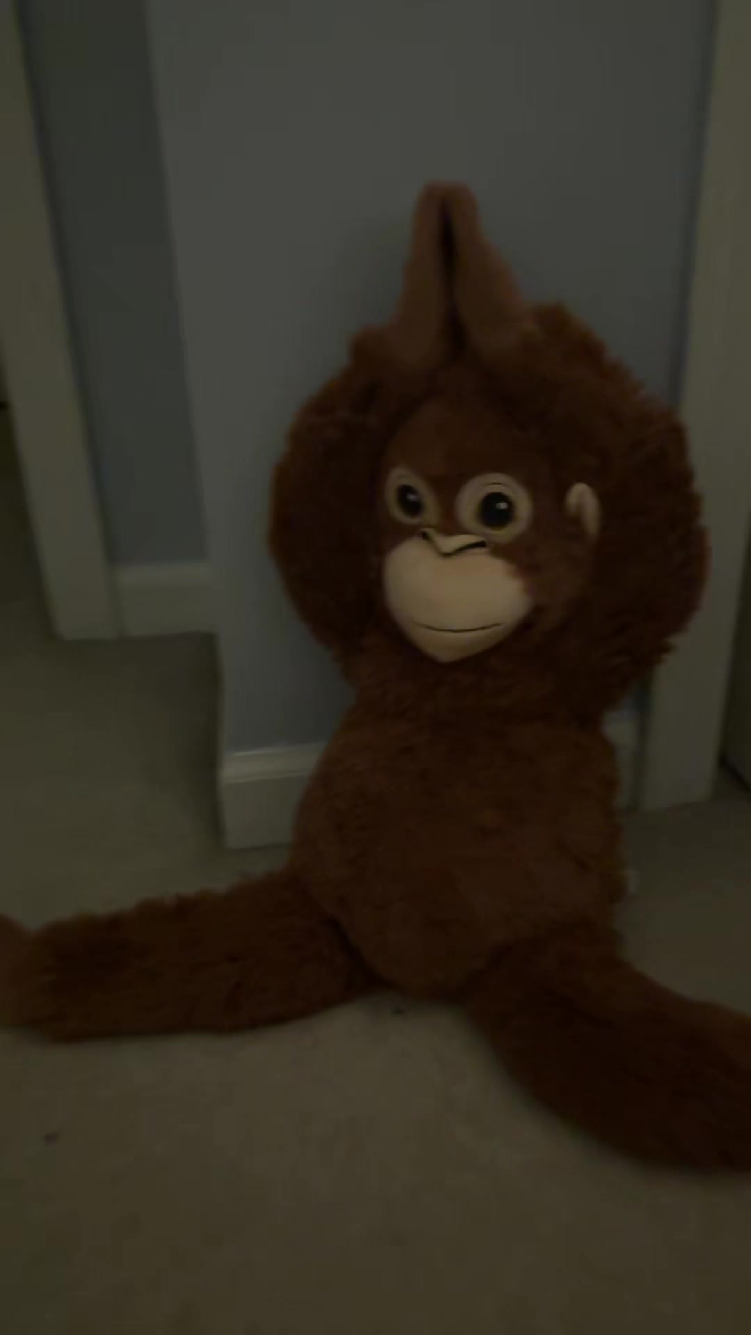 @Ziggy 🐵
