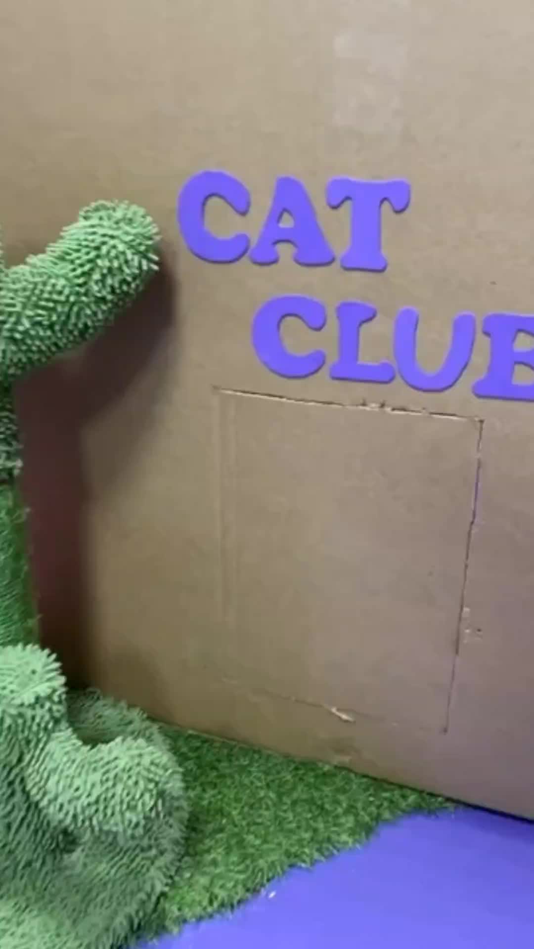 @funnyAnimals