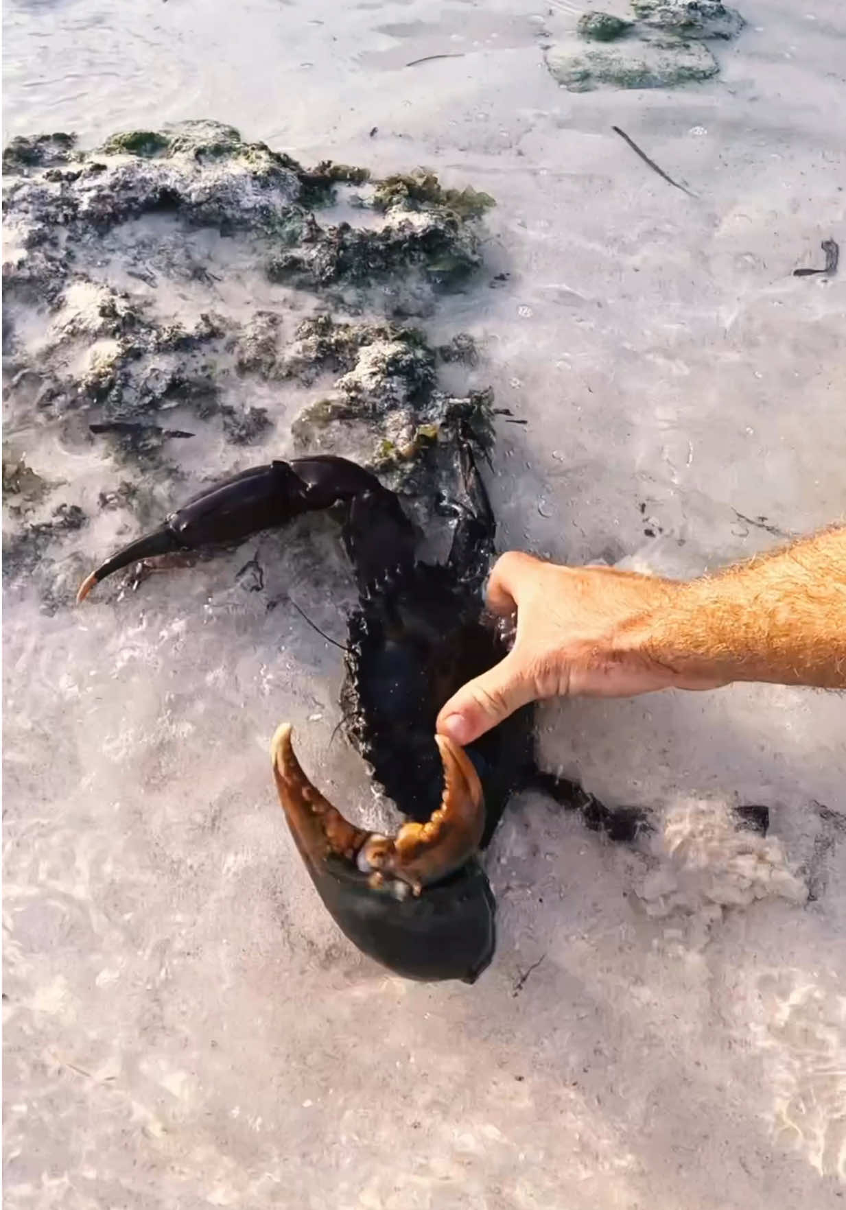 @Wade Papenfus | Offshore Tales