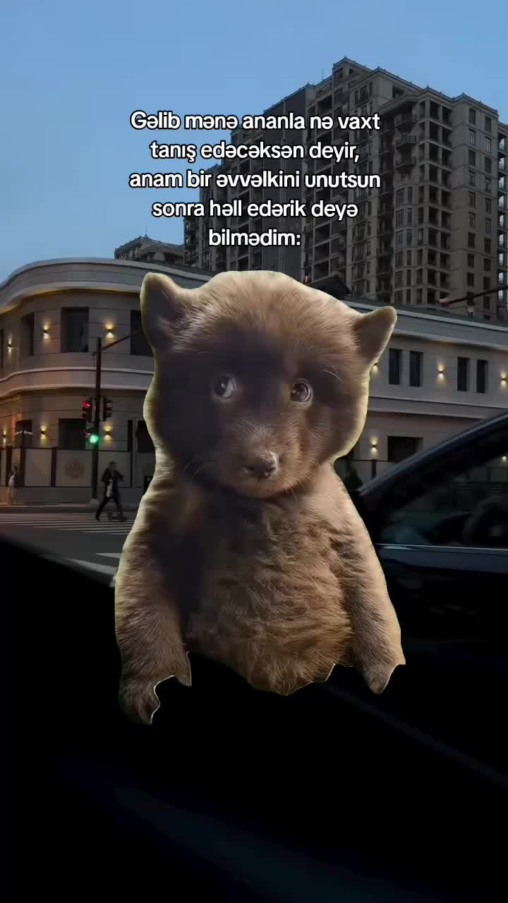 @𝓛𝓮𝓸𝓹𝓪𝓻 🐆