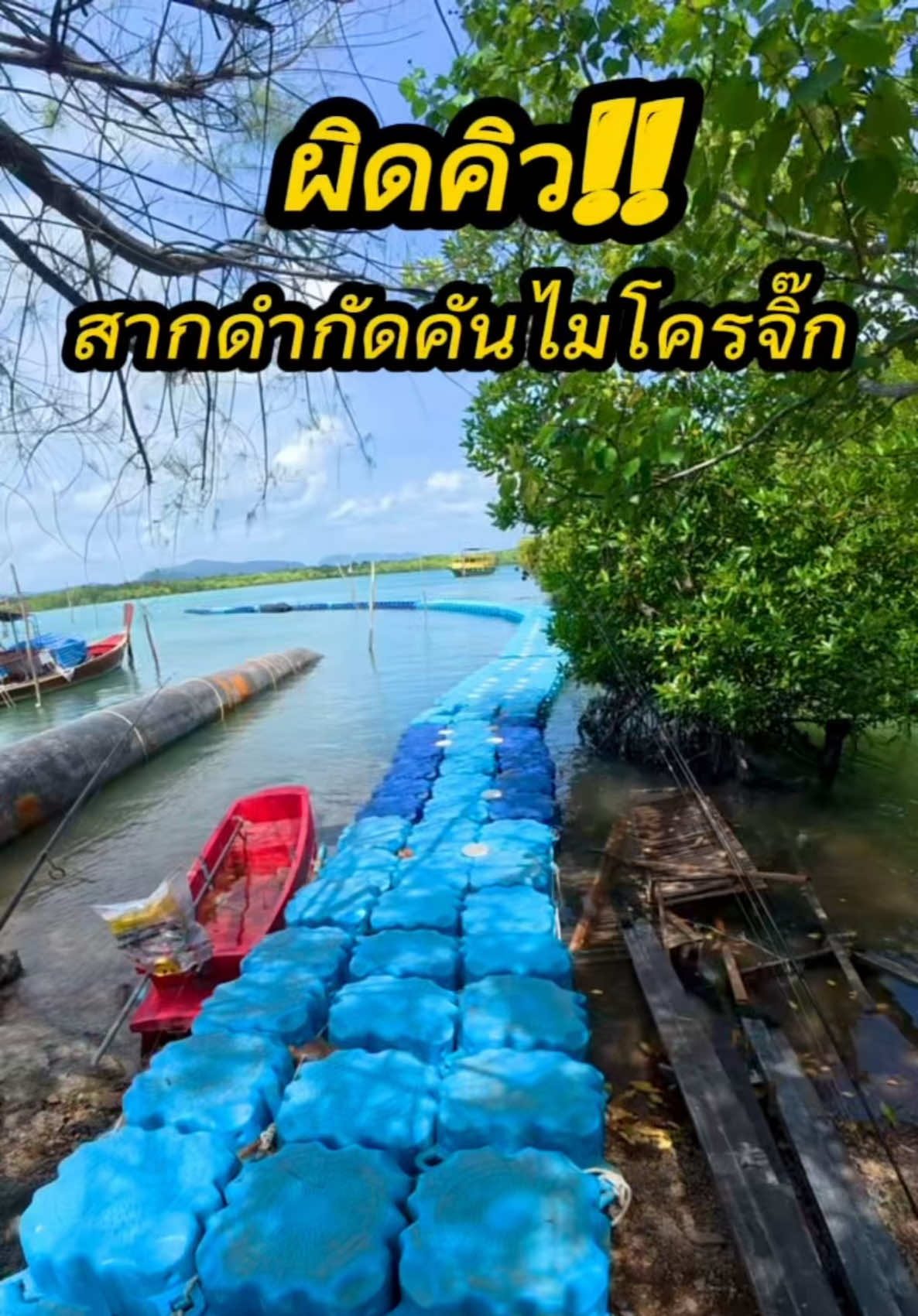 @ᴛᴏᴍ_ᴄʜᴀᴛᴄʜᴀɪ.