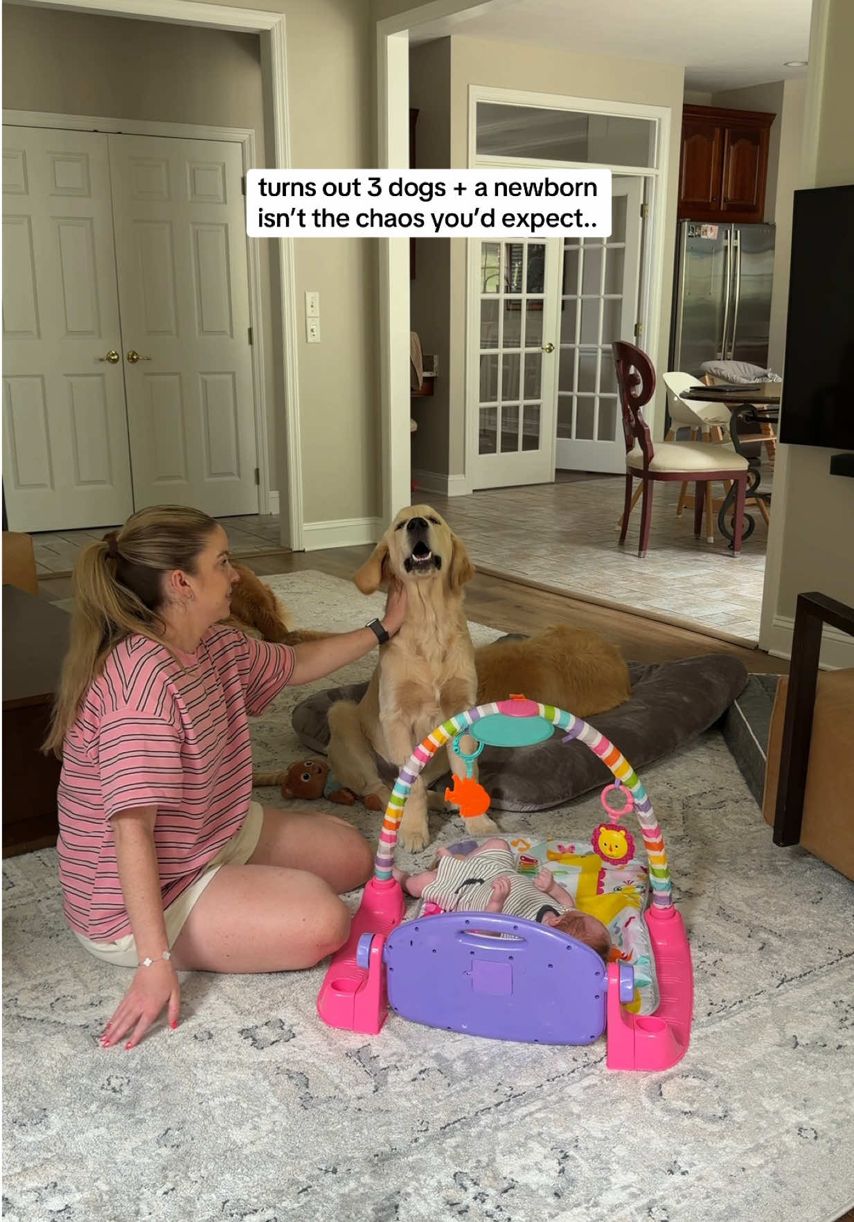@agoldendogmom