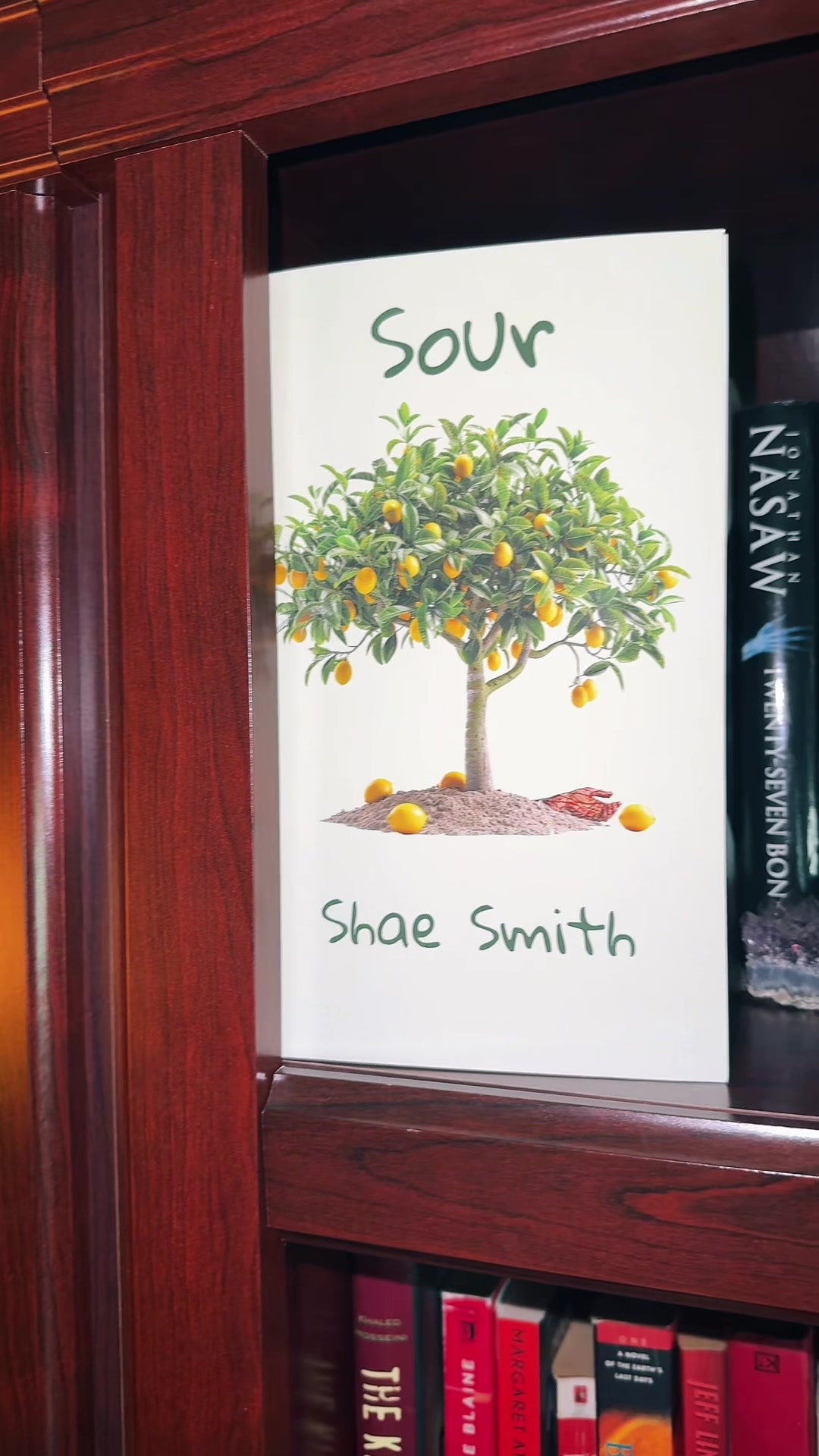 @✨Shae Smith📖✨