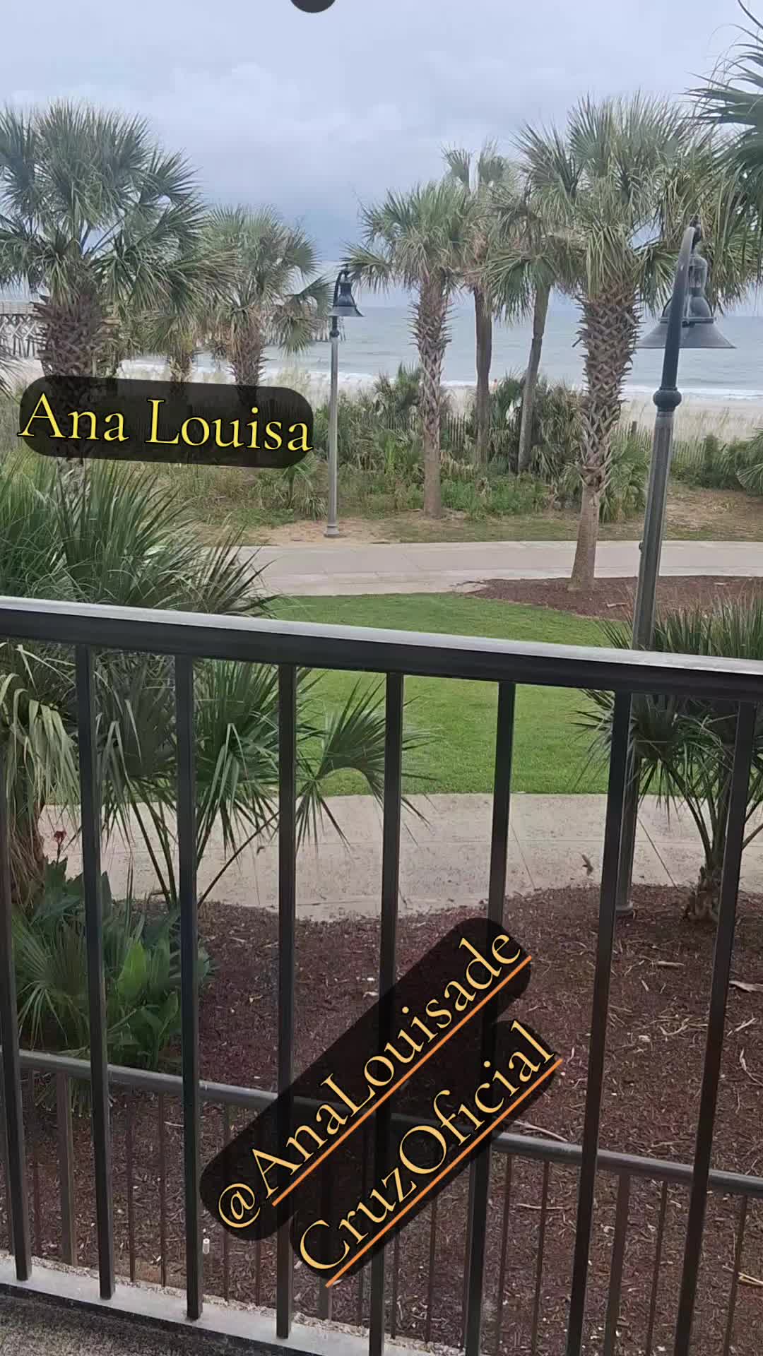 @Ana Louisa de Cruz Oficial