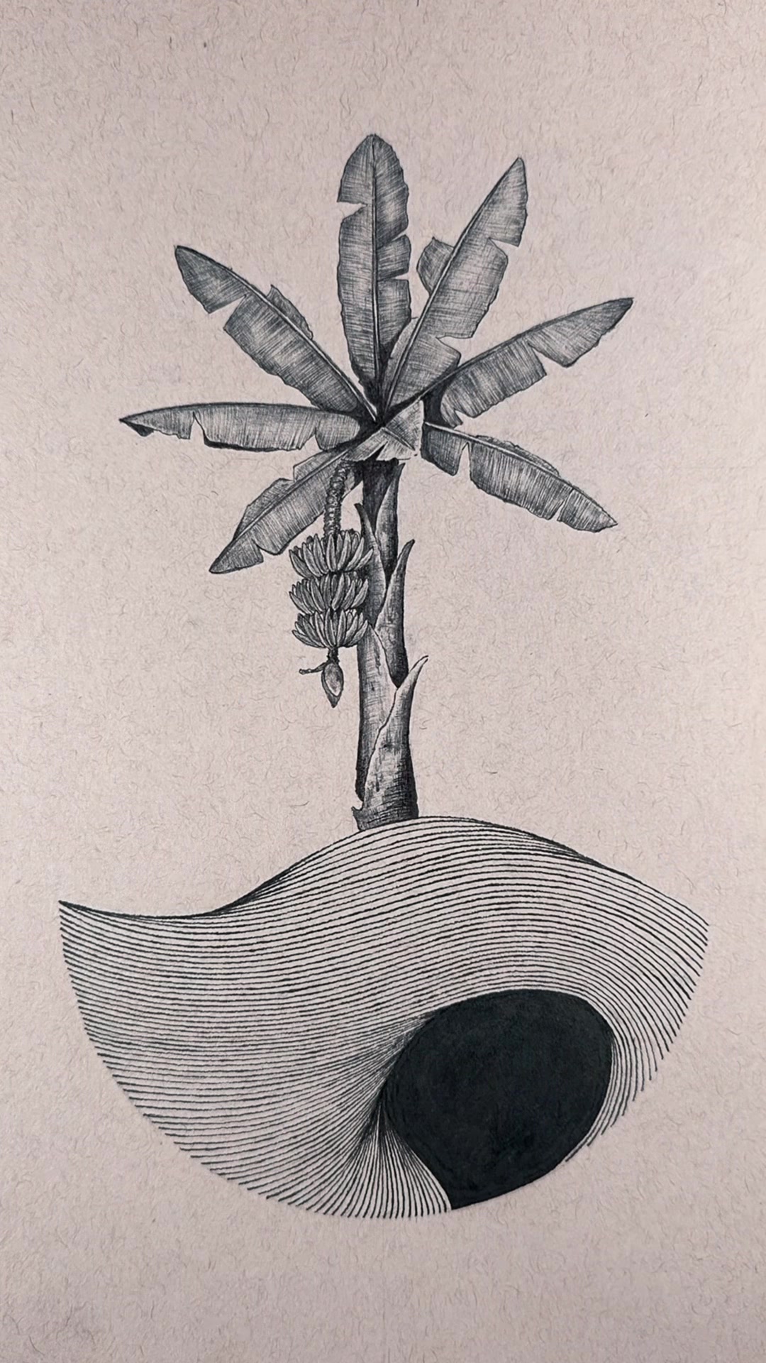 @Angel Draws