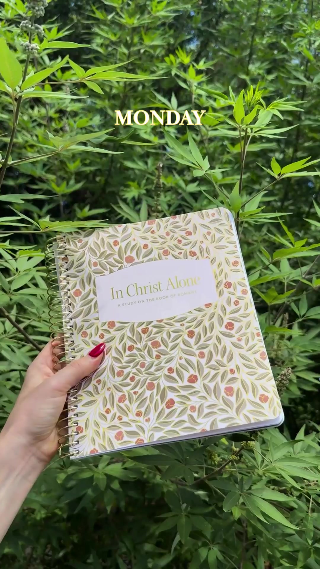 @The Daily Grace Co