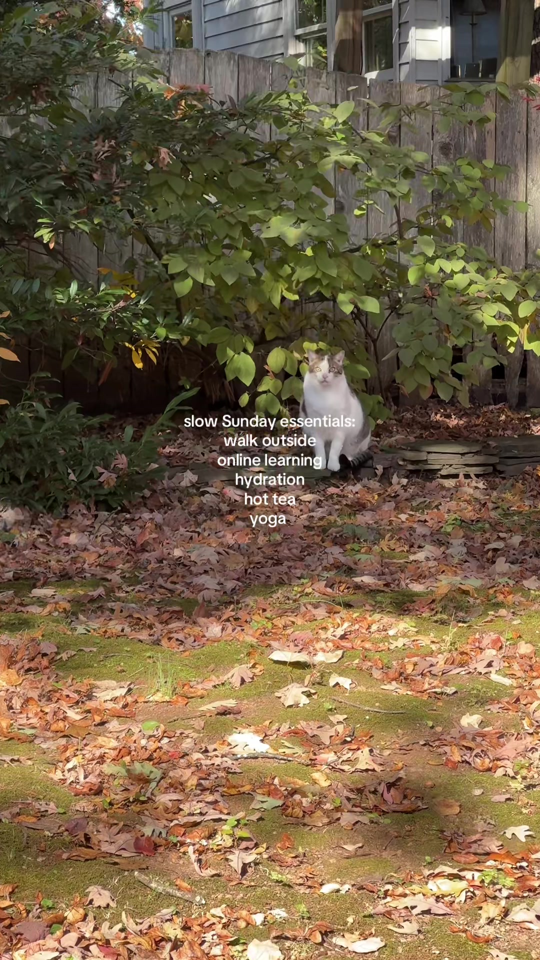 @alongsidevictoria