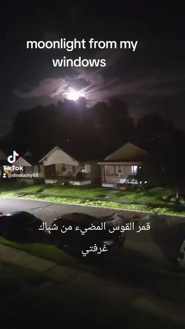 @Dina33953