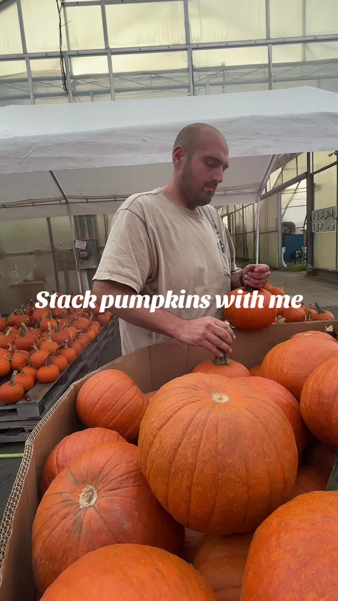 @JC Farm - Durham, CT