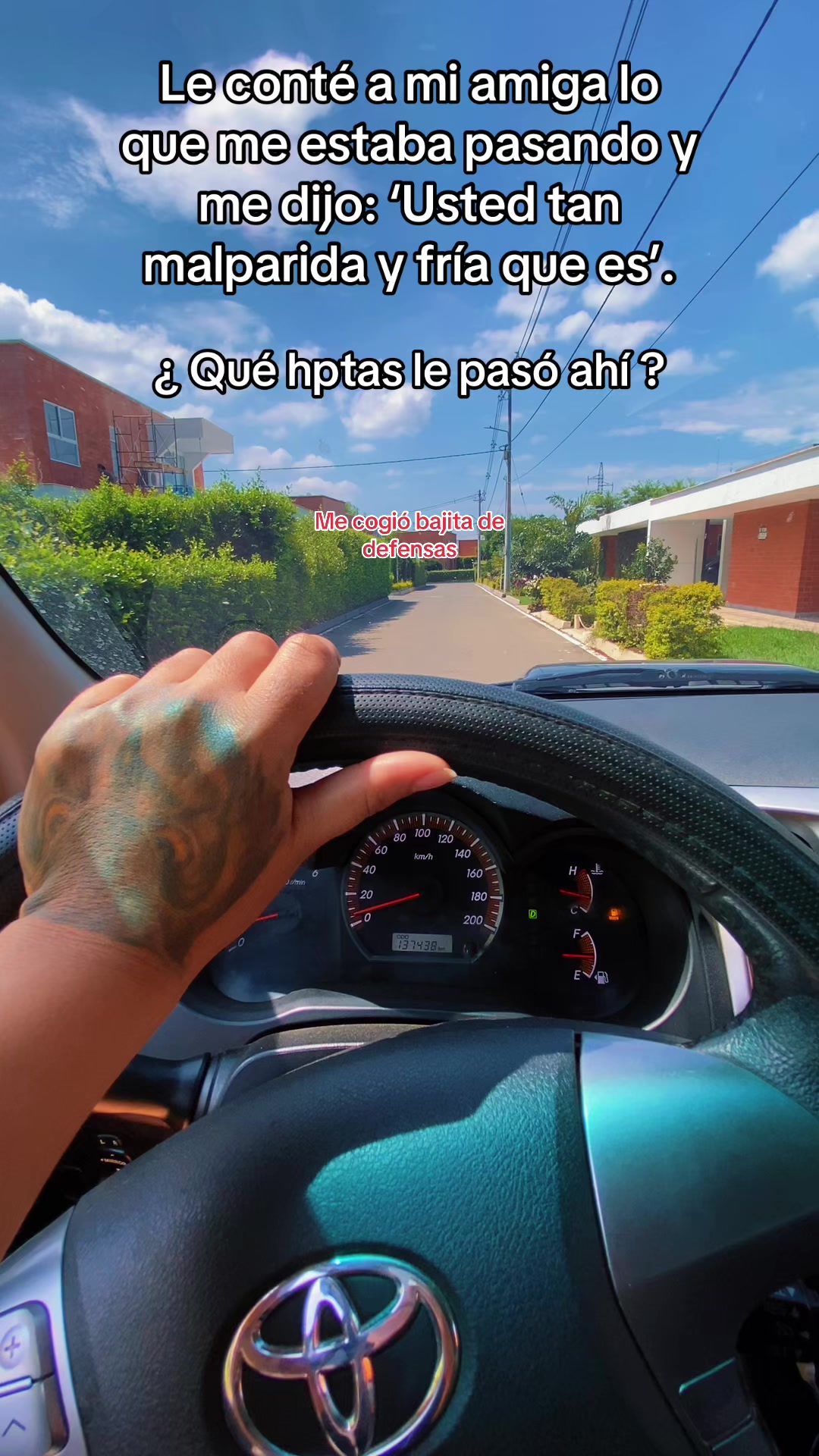 @𝐃𝐚𝐡𝐢𝐚𝐧𝐚 𝐂🌻