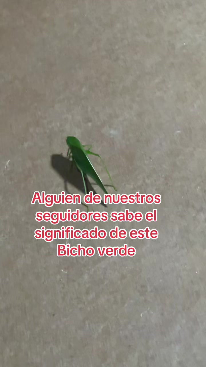 @Surtipor