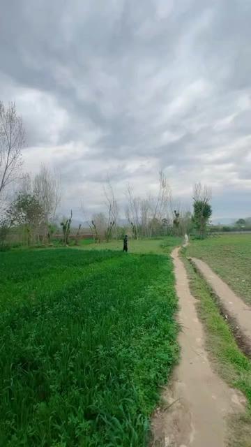 @SOHAIL.AKBAR⛎