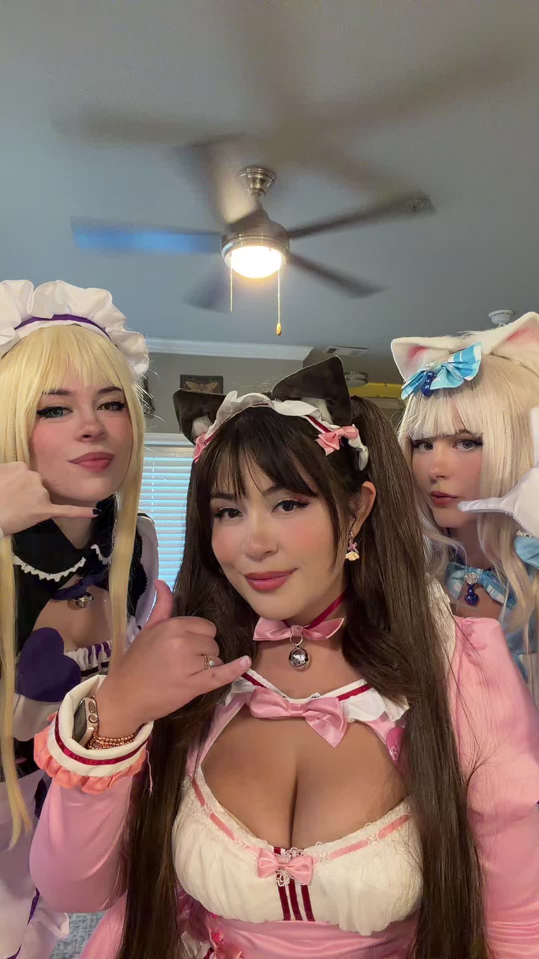 @gingkotea