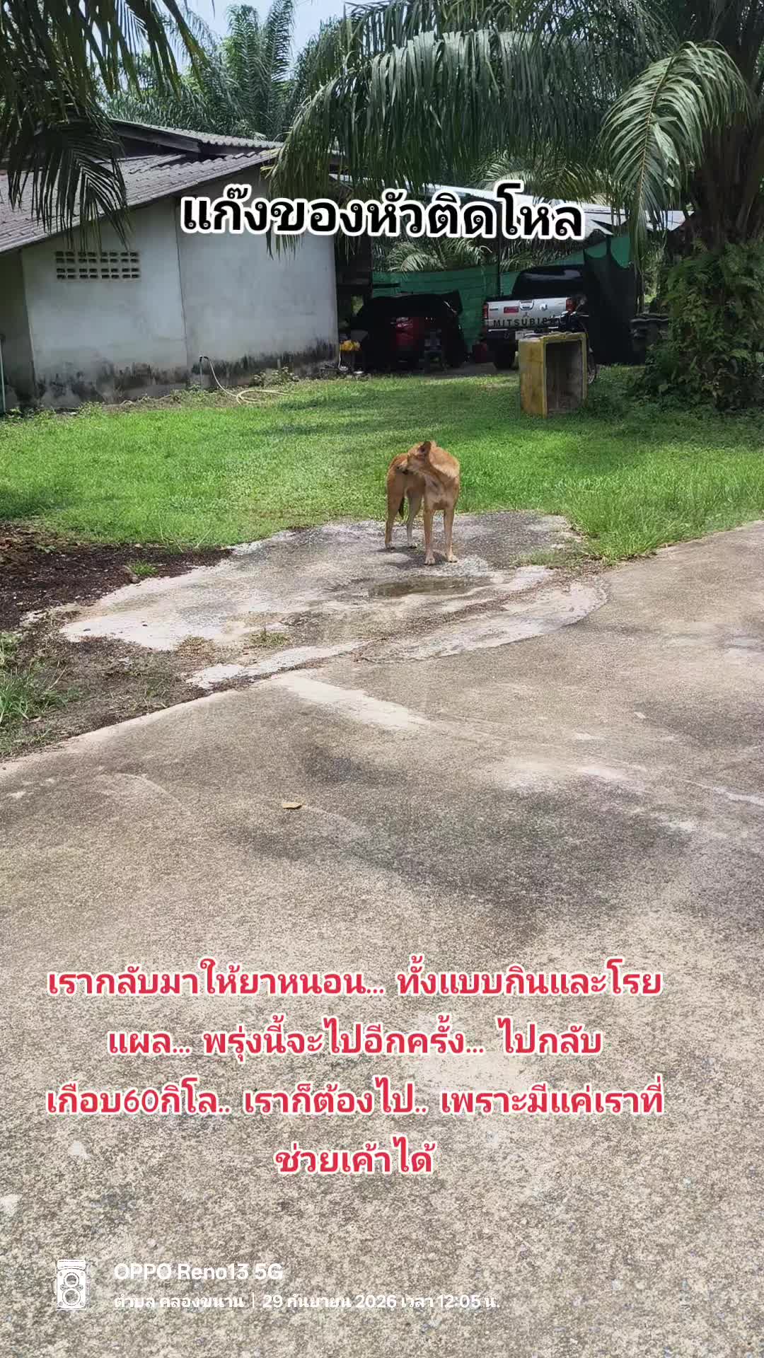 @Phim 1415