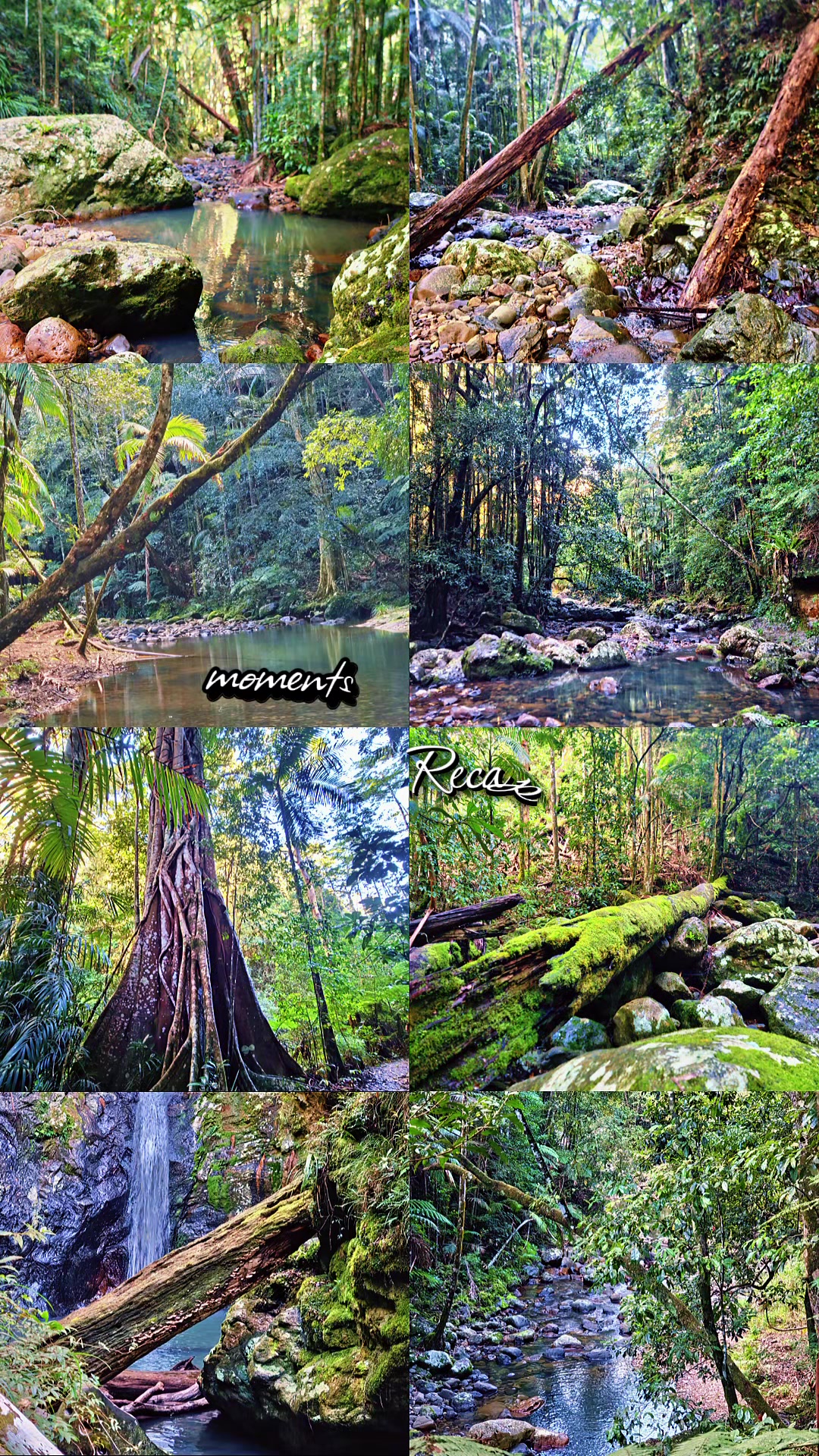 @Aces hike tok