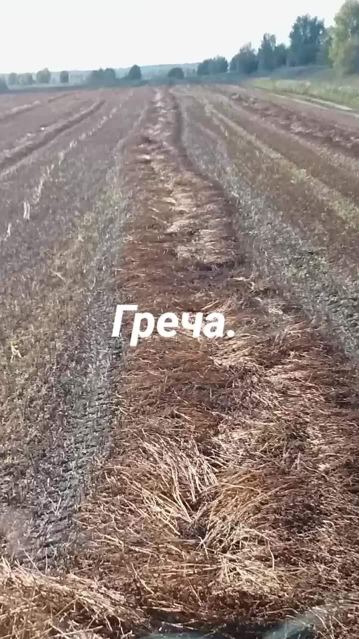 @EvgenKarmanov