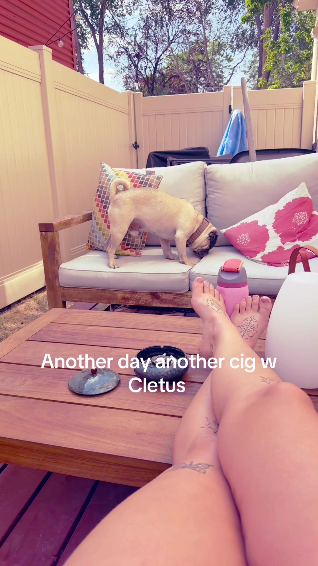 @wetdreamz3337