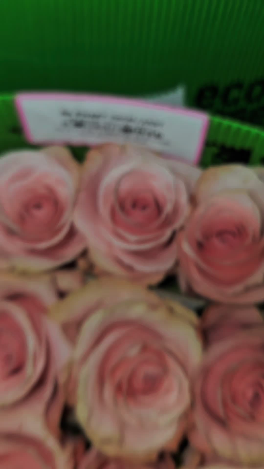 @Gift Shop Yuliana ๐บ๐ฒ๐จ๐ด