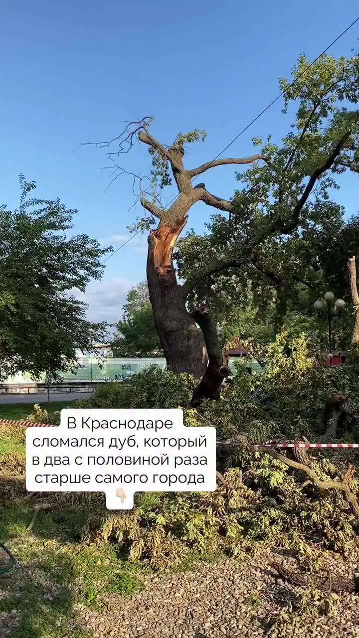 @Первый Южный